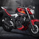 Yamaha-MT25_6