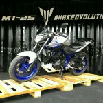 Yamaha-MT25_7