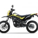 2015-Kawasaki-Dtracker-150_30