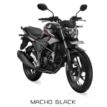 Honda-cb150r-streetfire-launch_2