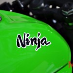 Kawasaki-Ninja-250SL_37