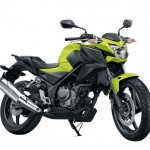 New CB300F 2015_Y-B_resize