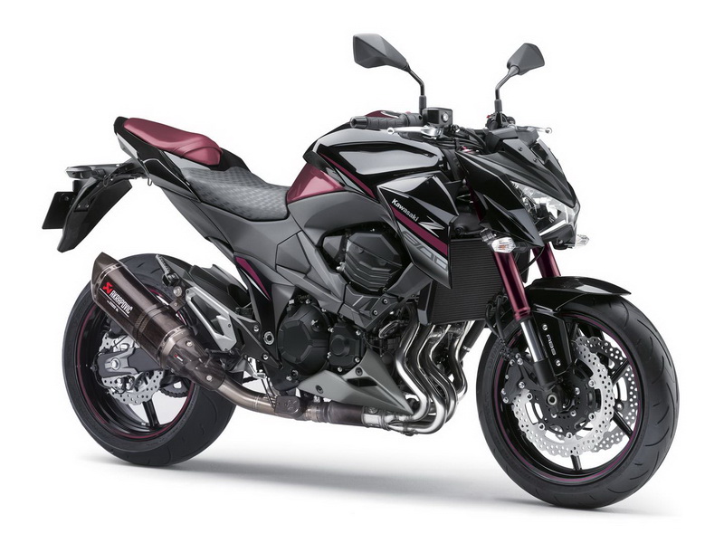 Z800 2010 sales