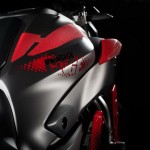 Yamaha-MT-07-Moto-Cage_1