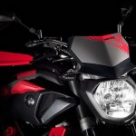 Yamaha-MT-07-Moto-Cage_2