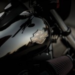 2016-Harley-Davidson-low-rider-s_11
