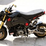 ModDam-MSX-1199-Panigale_06