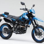 Kawasaki-D-Tracker-X-Final-Edition_1