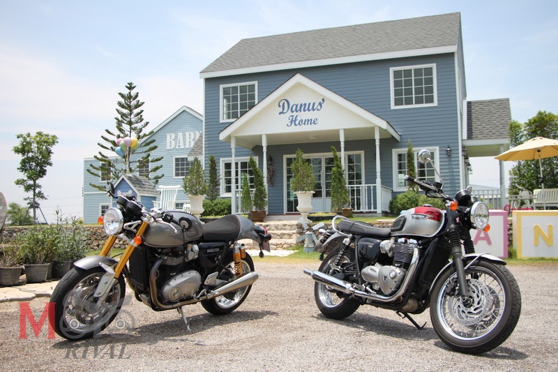 Triumph thruxton discount r pantip
