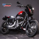Harley-Davidson-Brunswick-AntMan