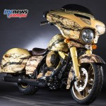 Harley-Davidson-Fairy-Meadow-groot