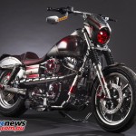 Harley-Davidson-GoldCoast-AntMan