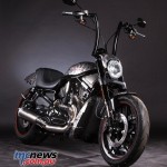 Harley-Davidson-KangarooFlat-Ultron