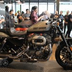 2017-harley-davidson-sportster-roadster-th_02