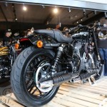 2017-harley-davidson-sportster-roadster-th_45