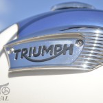 2017-Triumph-Bonneville-T100_21