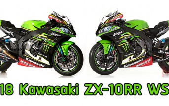 2018-Kawasaki-ZX-10RR-WSBK