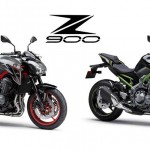 2019-kawasaki-z900-01