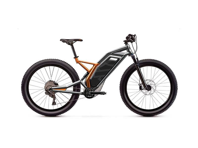 Harley davidson mountain bike hotsell