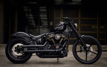 Harley-Davidson The Prince