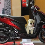 2019-yamaha-freego-125-official-thai-launch-21