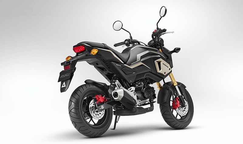 Msx125sf 2020 shop