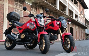 Honda-MSX-MSXSF-Angel-Scooter-Rosso-Scooter