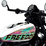 harley-davidson-street-rod-freedom-edt-03