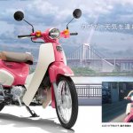 honda super cub weather child