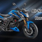 2020 Honda Hornet