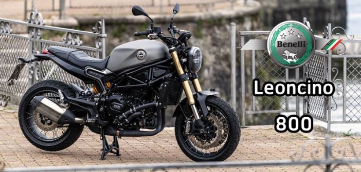 Leoncino 800