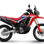 Honda CRF 300 Rally