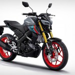 2021 Yamaha MT-15 2021