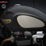 triumph-street-twin-gold-line-2021-007