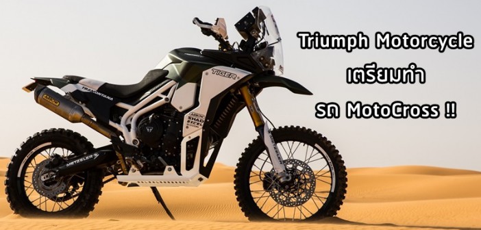 triumph-tiger-tramontana-custom-001