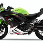 2022 Kawasaki Ninja 300