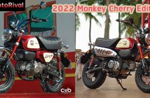 2022 Monkey Cherry Edition