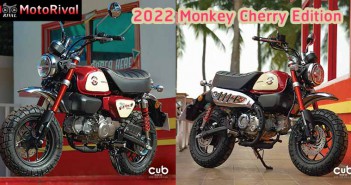 2022 Monkey Cherry Edition