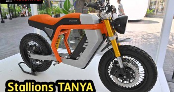 พรีวิว Stallions TANYA