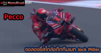 Pecco-Style-Jack