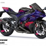 Kawasaki ZX-10RR Performance Special Edition