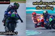 marc-follow-franky